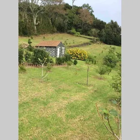 Casa de Férias Summer House With Bbq And Garden
