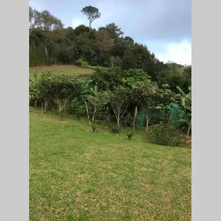 Casa de Férias Summer House With Bbq And Garden