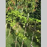 Casa vacanze Summer House With Bbq And Garden