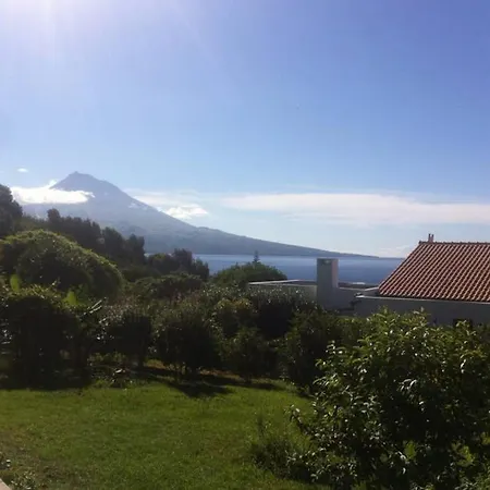 Summer House With Bbq And Garden