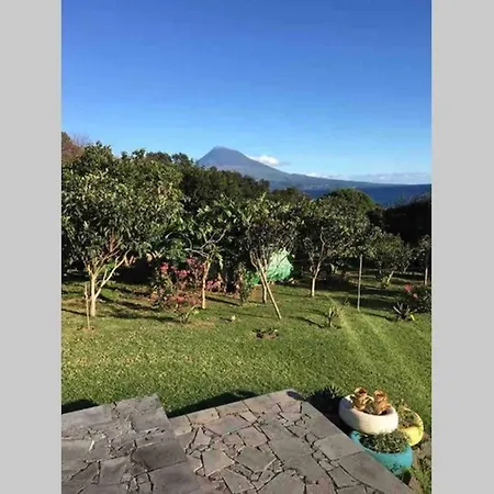 Summer House With Bbq And Garden