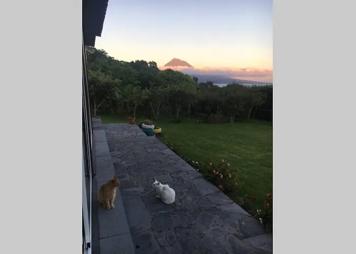 Summer House With Bbq And Garden