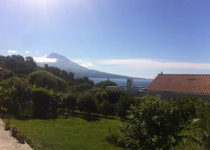 Summer House With Bbq And Garden