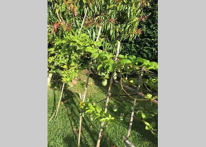 Prázdninový dům Summer House With Bbq And Garden