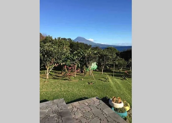 Summer House With Bbq And Garden